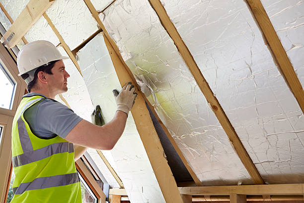Types of Insulation We Offer in Tuckahoe, VA